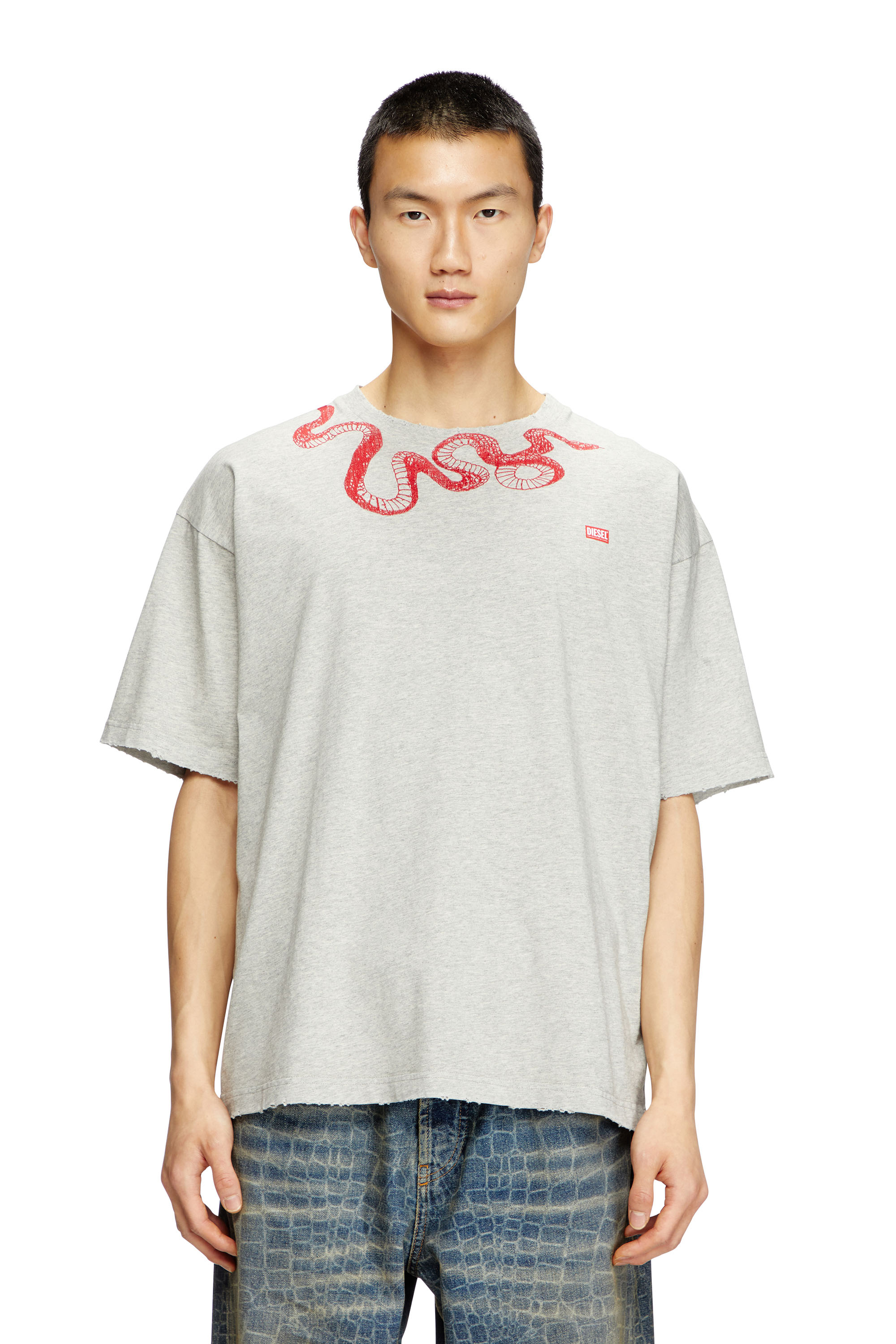Diesel - CL-T-BOXT-MEL-SNAKE, Unisex's T-shirt with snake embroidery in グレー - 1